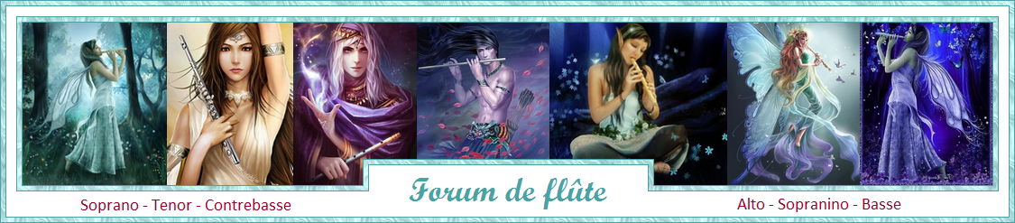 . : Flûte traversière - Flûte à bec et toutes les autres flûtes : .